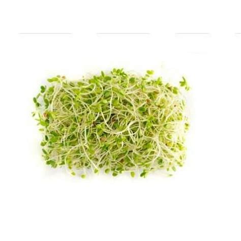 alfalfa sprouts walmart